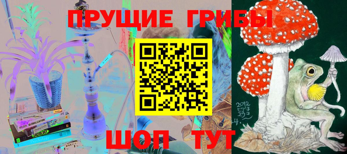 Псилоцибиновые грибы Psilocybe Родники