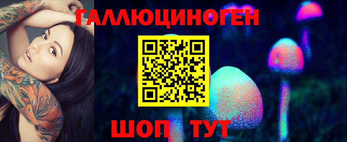 Псилоцибиновые грибы GOLDEN TEACHER  Вход с VPN  Галлюциногенные грибы MAGIC MUSHROOMS  Родники 